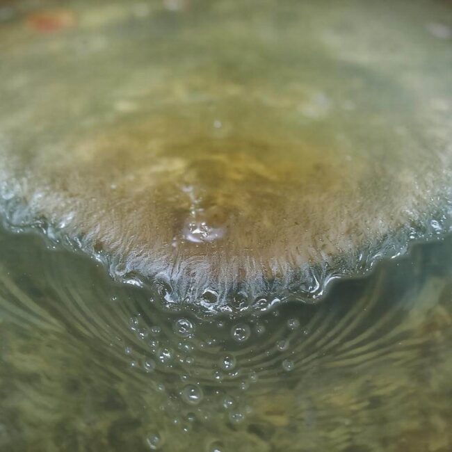 Jak zatrzymać wycieki w oczku ogrodowym